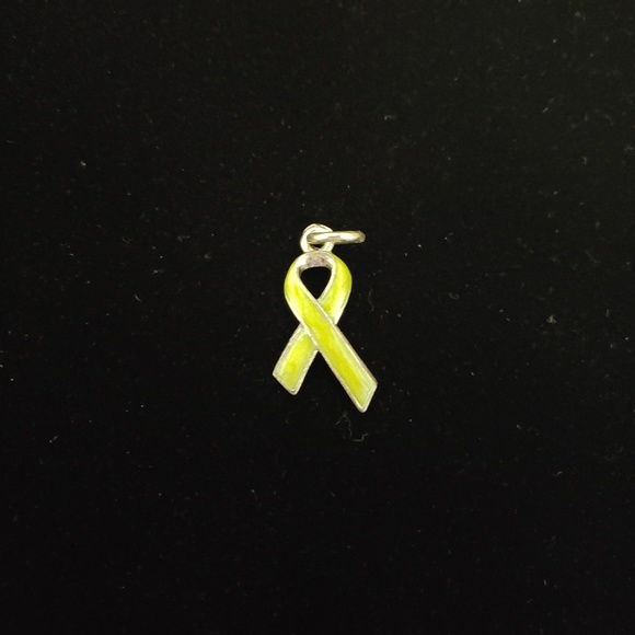 Beaucoup Designs Lymphoma Cancer Ribbon Charm - Picture 1 of 2